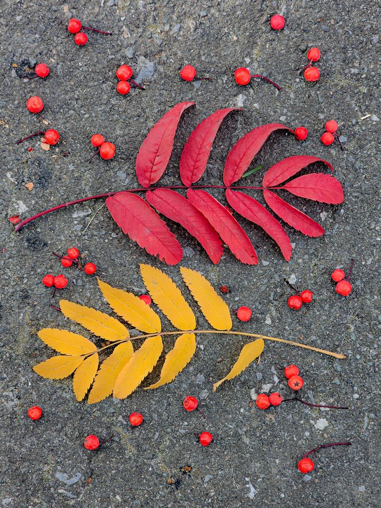 Photograph by Сергей Кесаев