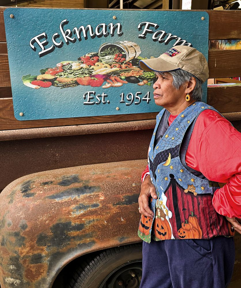 Harvesting Thoughts: The Colours of Growth