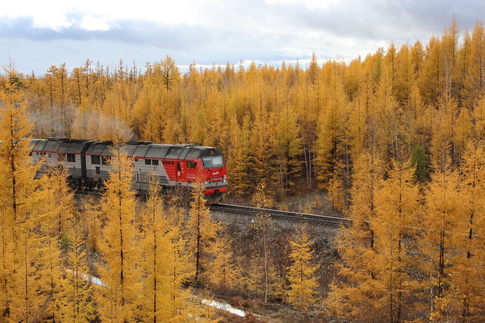 Photograph by Михаил Мархинин