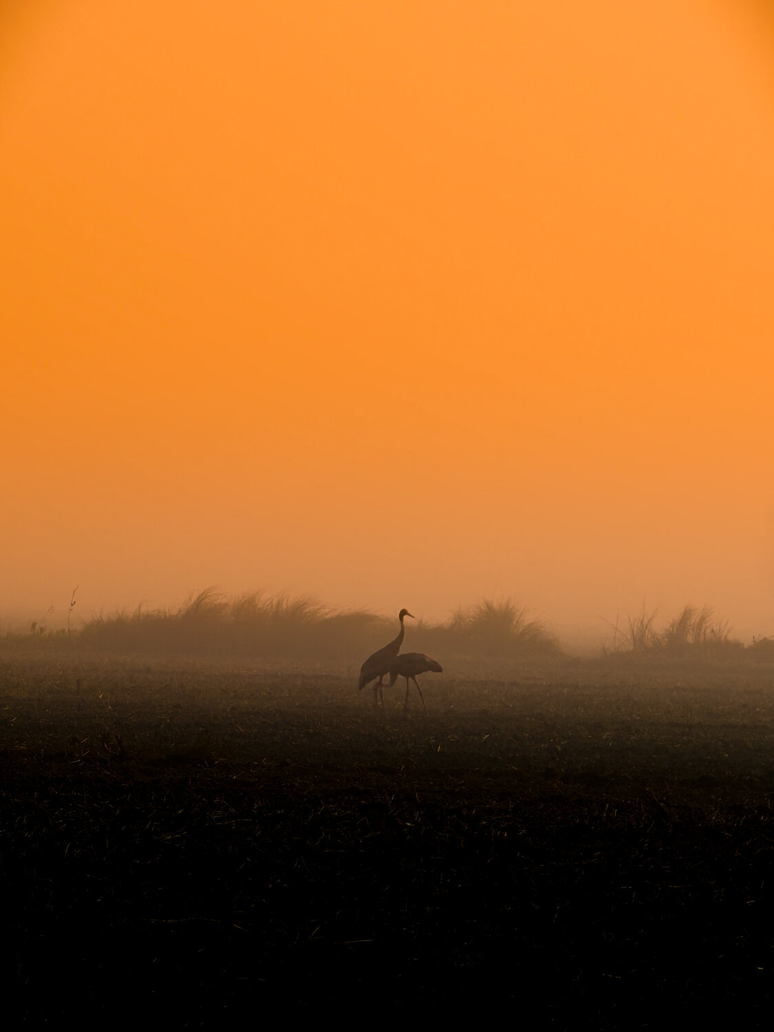 Photo #13425563