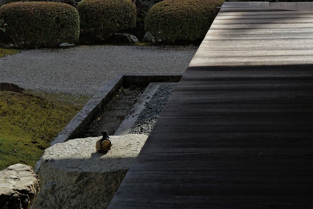 En and Kekkai — Threshold and Sacred Boundary