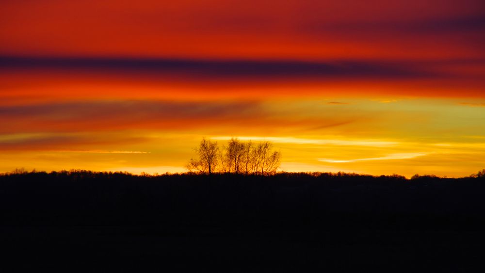 Photo #13425679