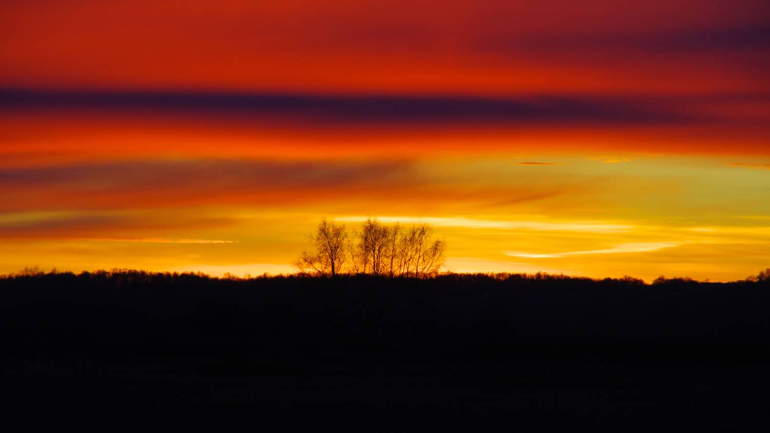 Photo #13425679