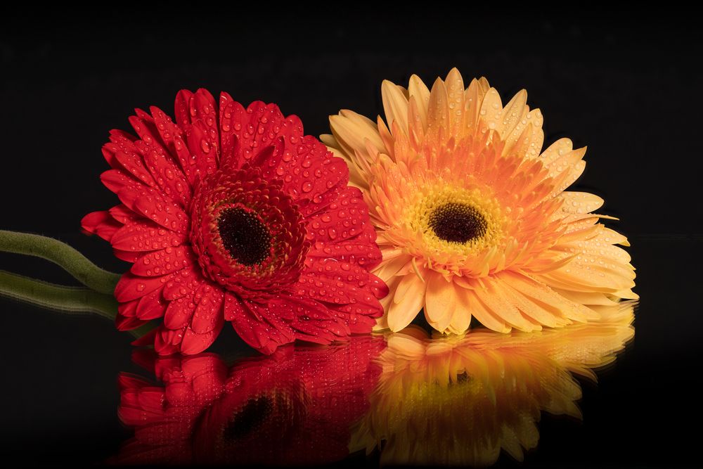 Фотография автора Jean pierre