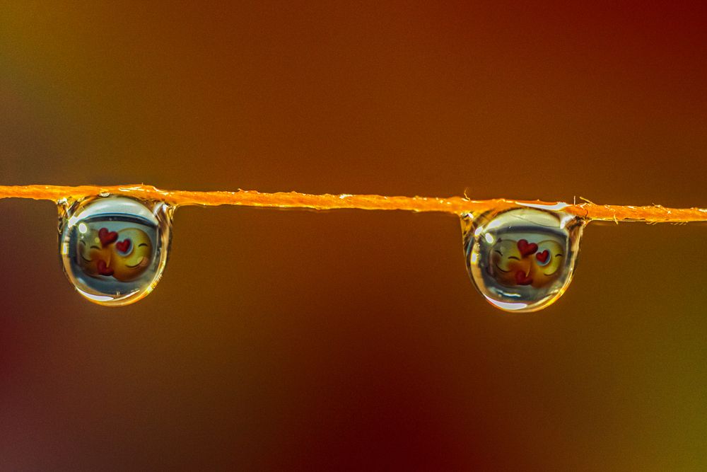 Photograph by Victoria Mogulyan