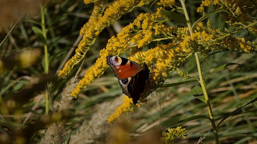 Photograph by Степан Макрушин