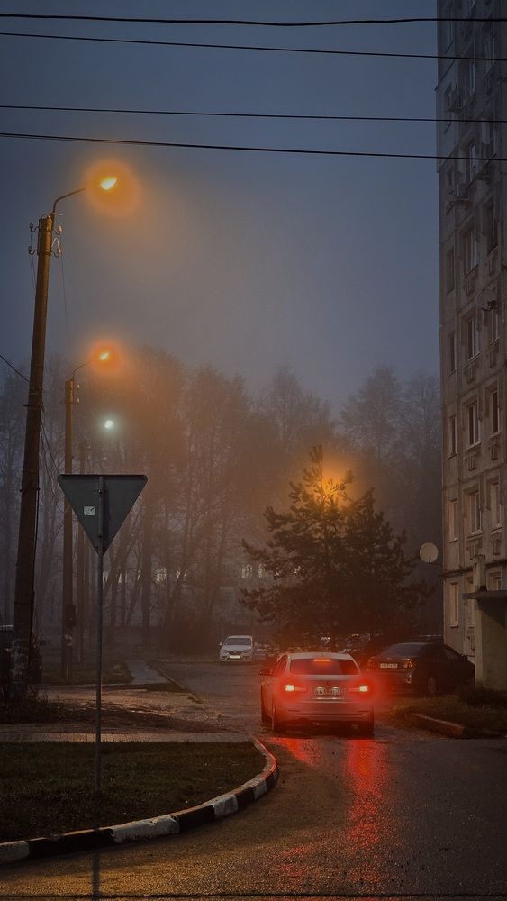 Photograph by Степан Макрушин