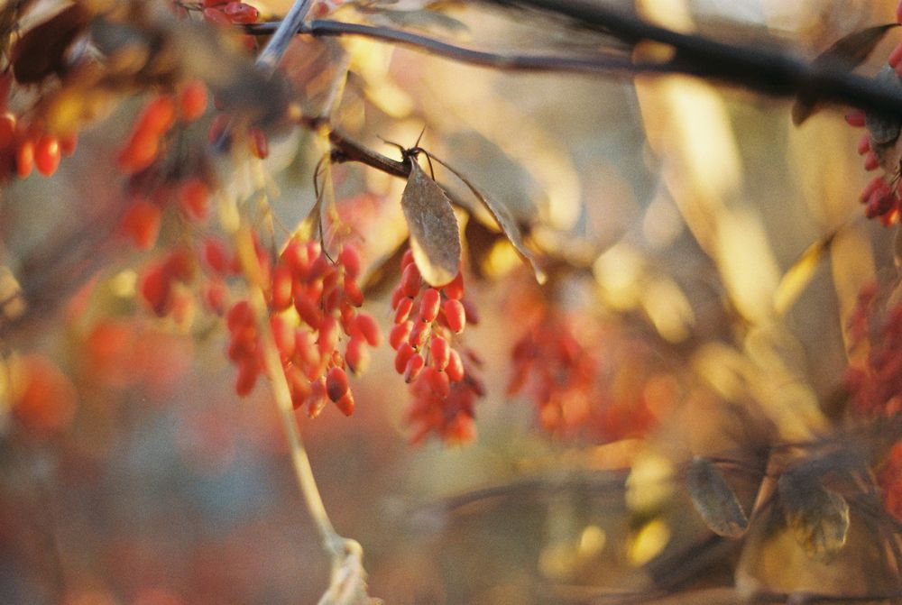 Photograph by Сергей Данилов