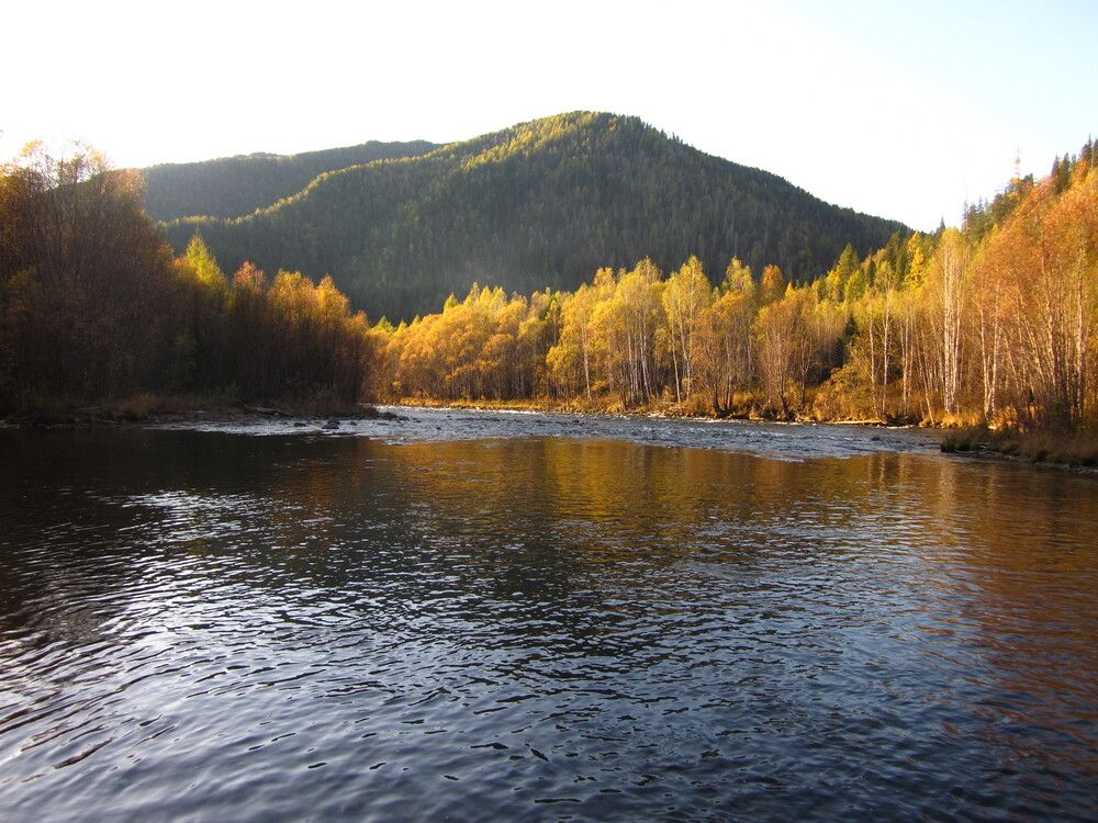 Photograph by Светлана Поспелова