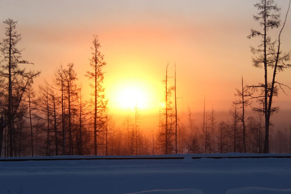 Photograph by Михаил Мархинин