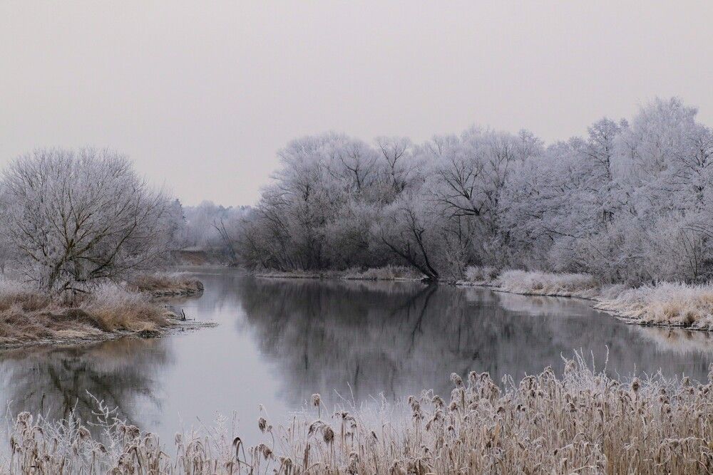 Photograph by Светлана Богомолова