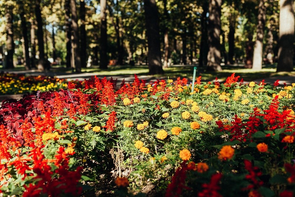 Photograph by Алена Полищук