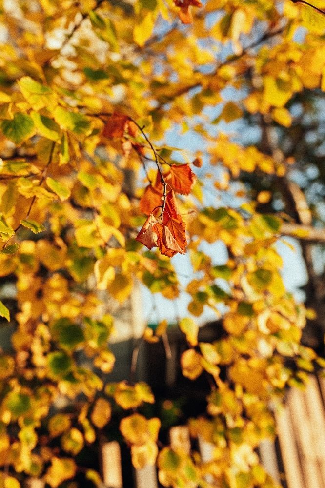Photograph by Алена Полищук
