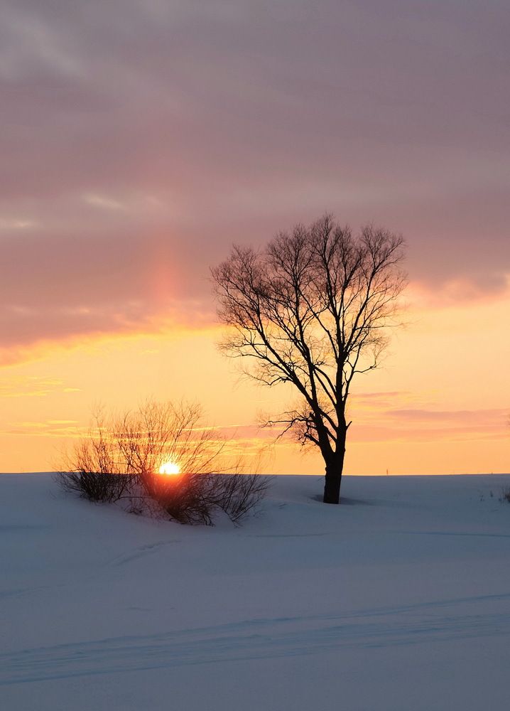 Photograph by Серёга Ануфриев