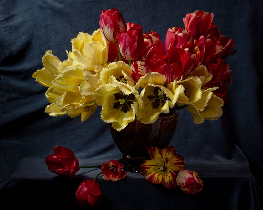 Photograph by Алексеев Сергей