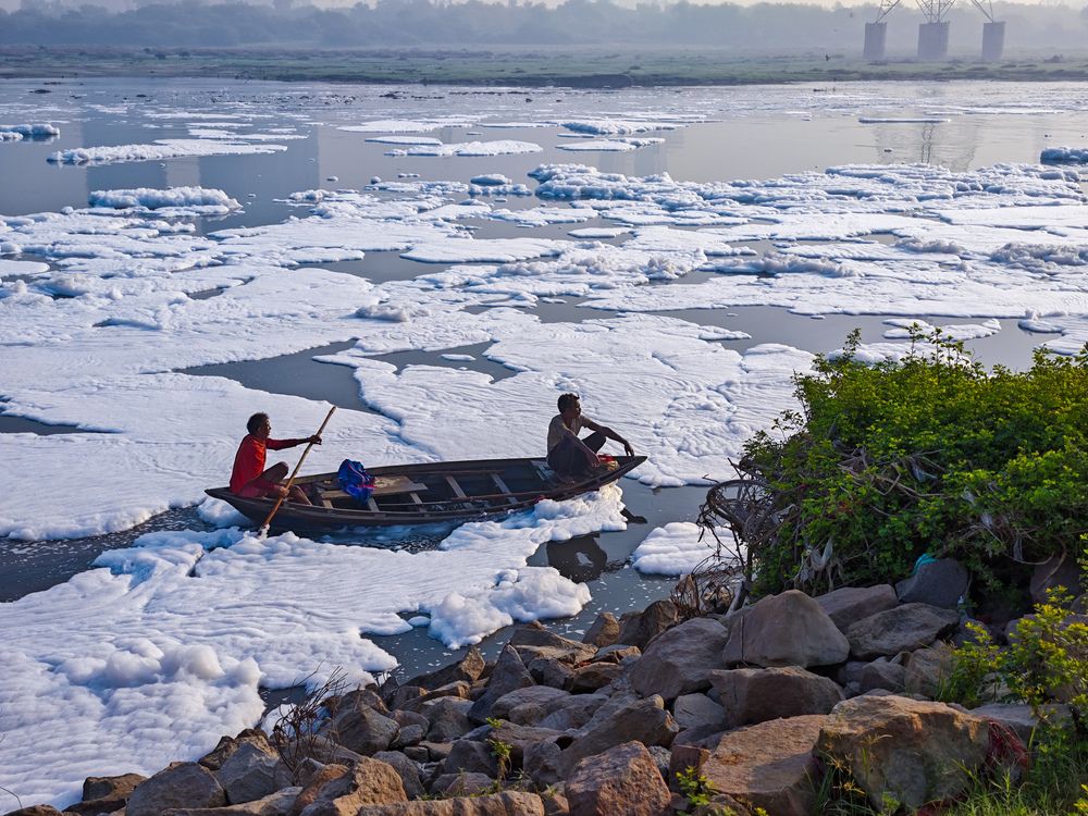 Фотография автора HARSHIT MISHRA