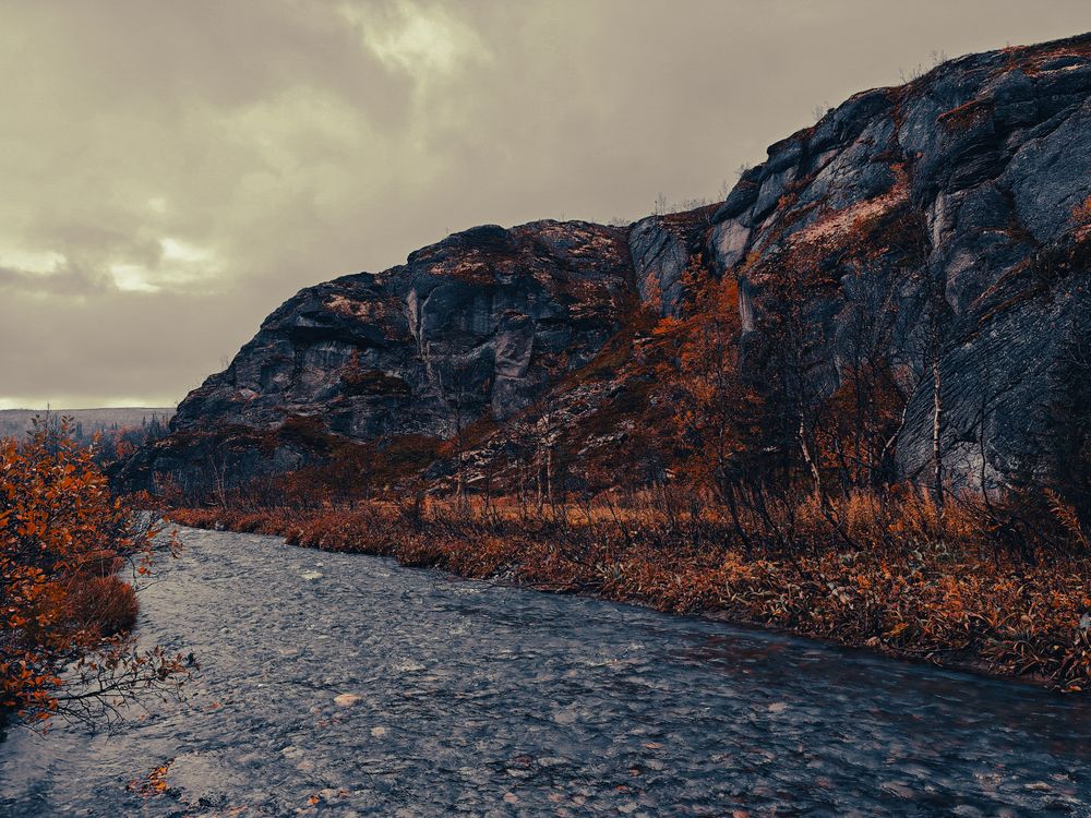 Photograph by Lev Kaufman