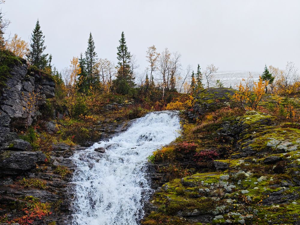 Photograph by Lev Kaufman