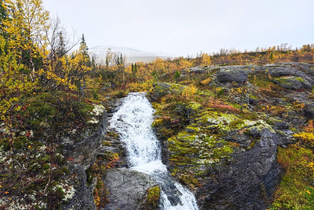 Photograph by Lev Kaufman