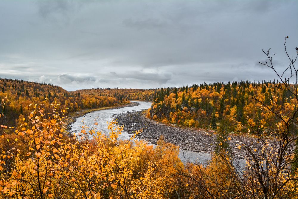 Photograph by Дмитрий Шулаков