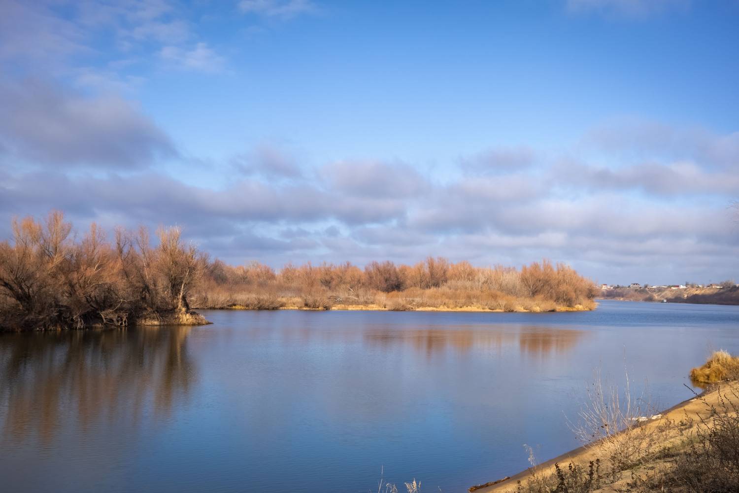 Фотография #13426189