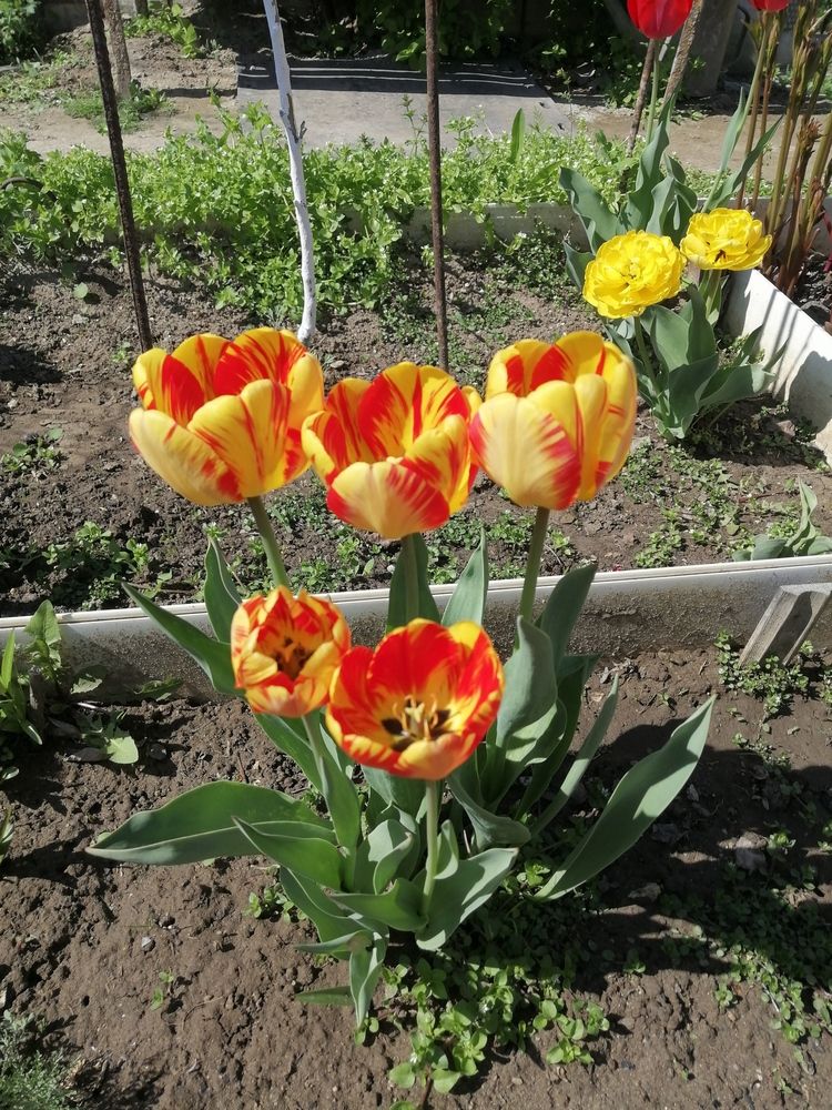 Photograph by Вячеслав Огурцов