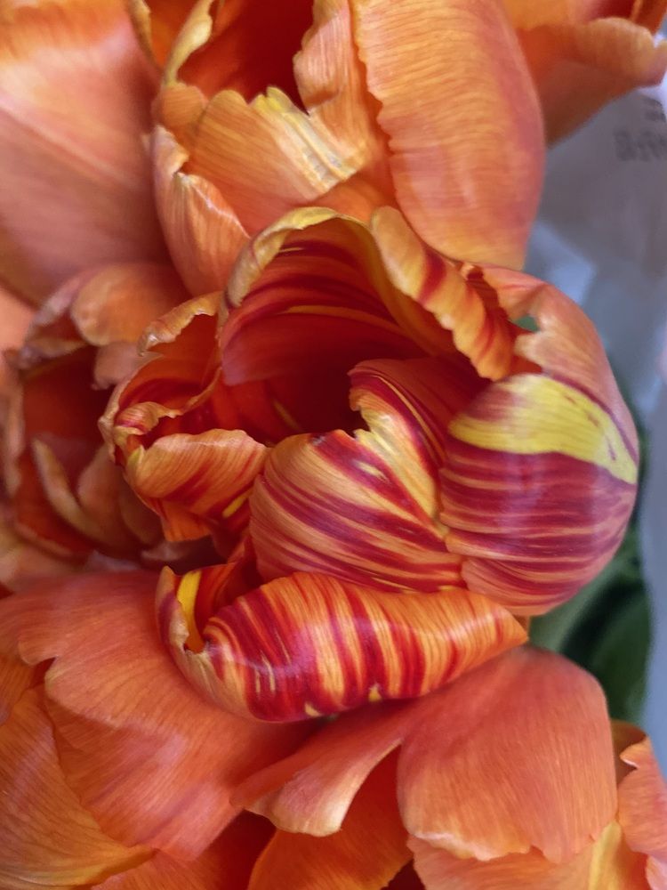 Photograph by Алиса Лукина