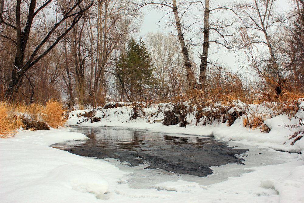 Photograph by Елена Поспелова