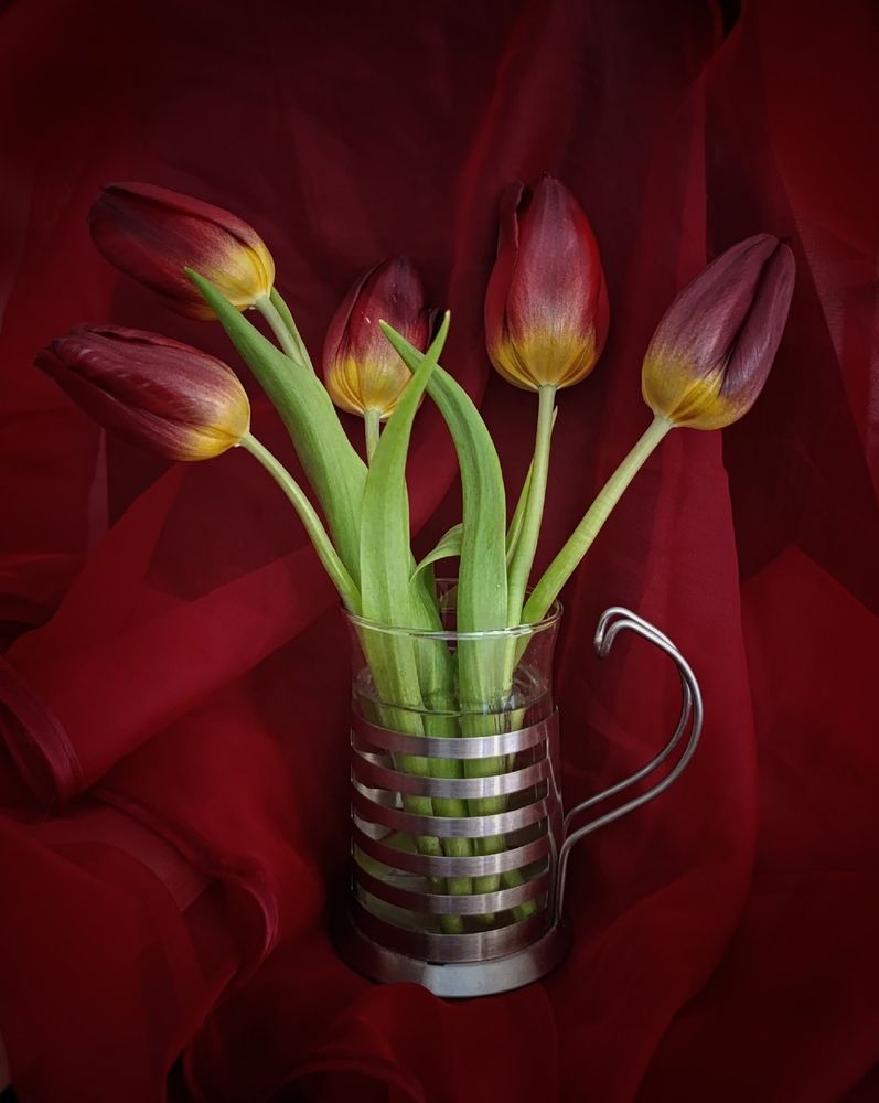 Photograph by Юлия Некрасова