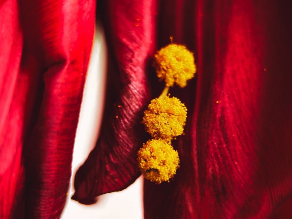 Photograph by Елена Михалева