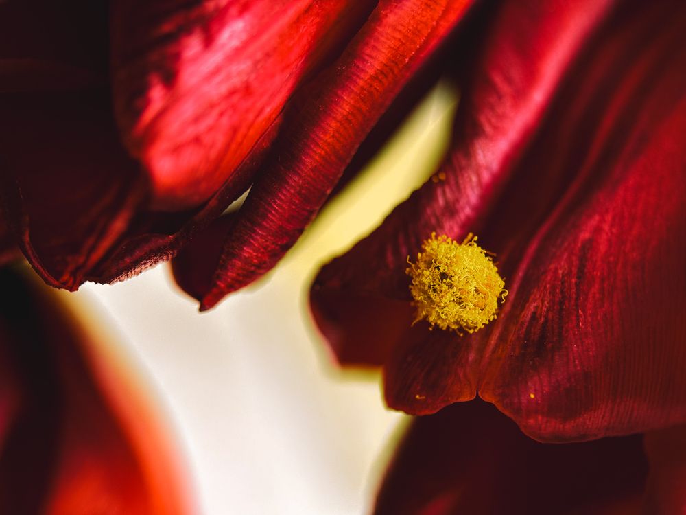 Photograph by Елена Михалева