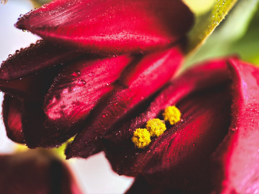 Photograph by Елена Михалева