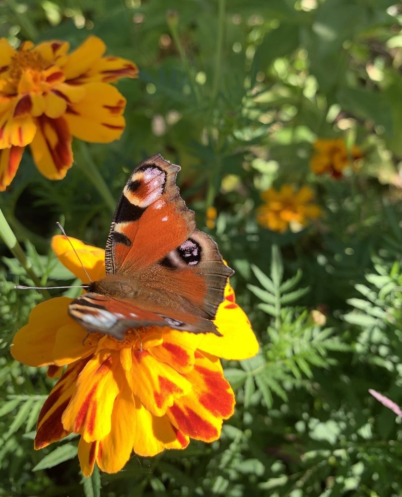 Photograph by Игорь Ребров