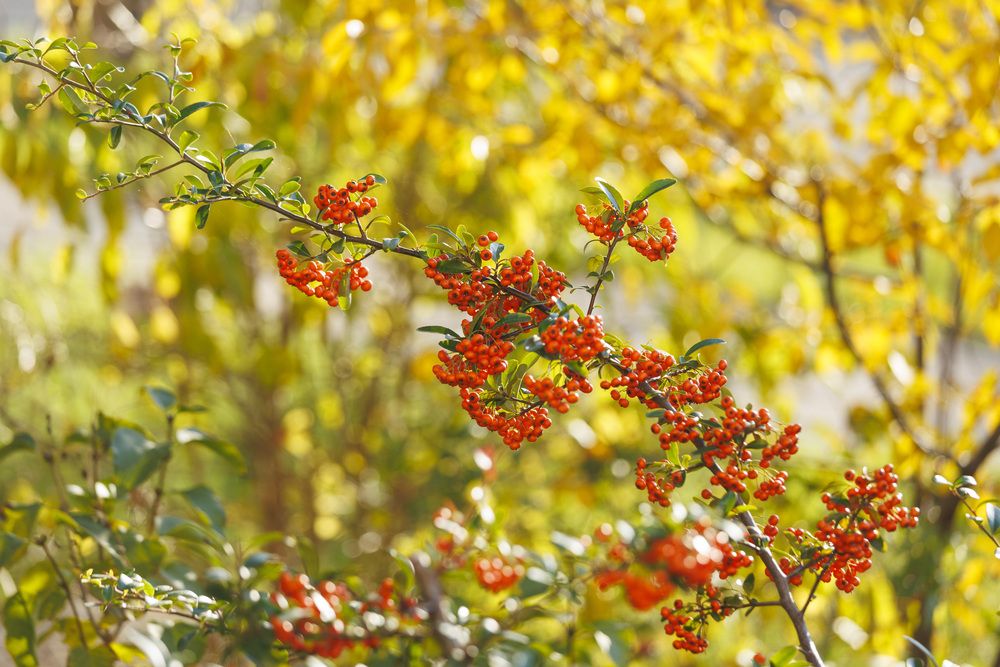 Photograph by Светлана Тихонина