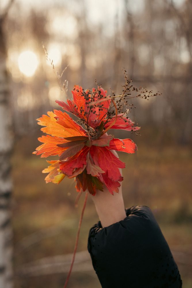 Photograph by Лина Матвеева