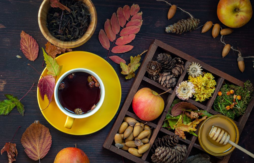 Photograph by Лина Матвеева