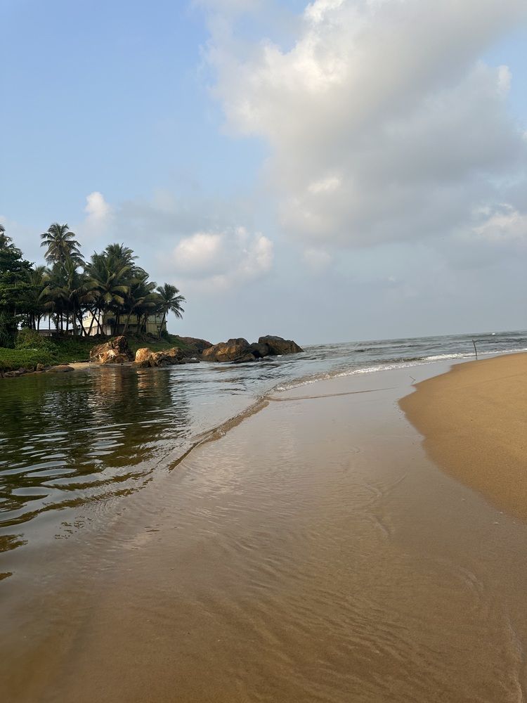 Photograph by Vaani Kulasegaram