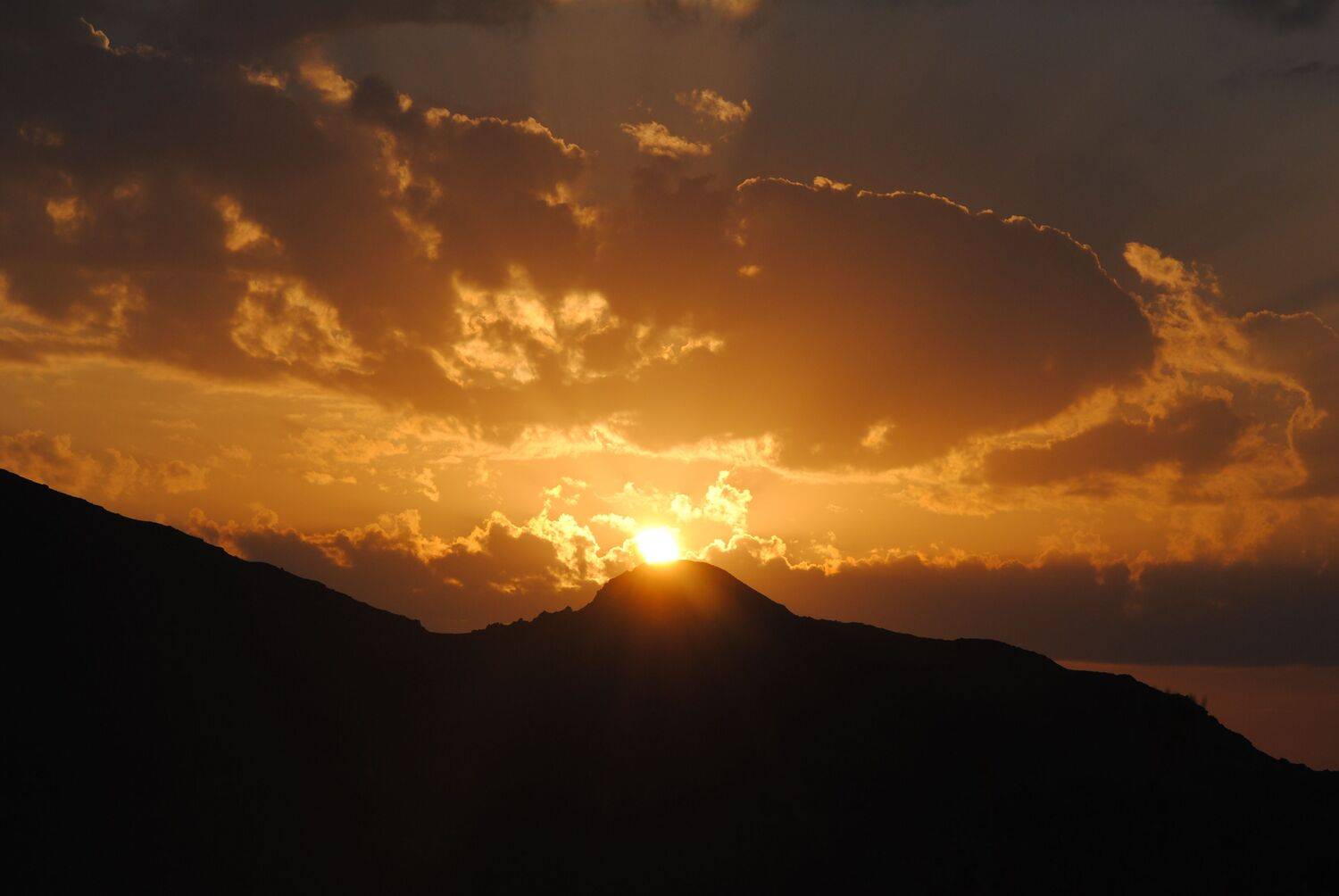 Photo #13426702