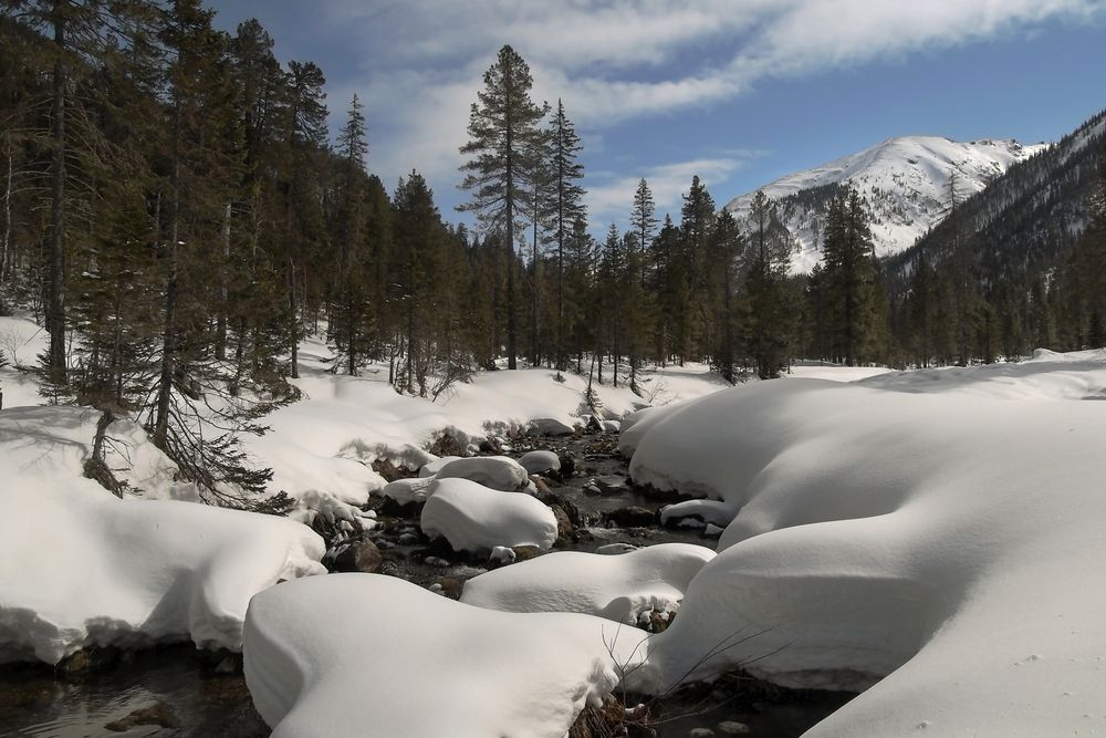 Фотография автора Александр Попов
