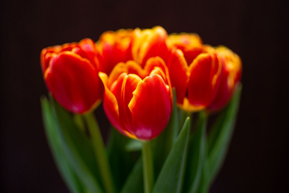 Photograph by Вера Волкова