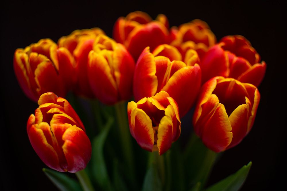 Photograph by Вера Волкова