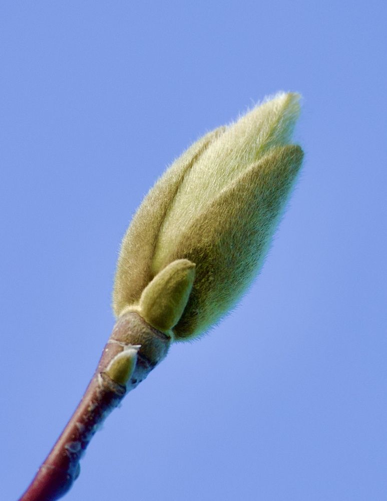 Photograph by Борис Захаров