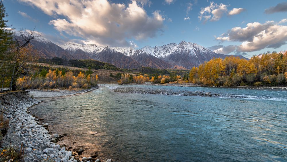 Photograph by Mark Devender