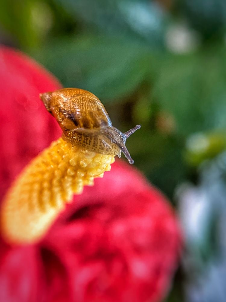 Photograph by Светлана Дмитриева