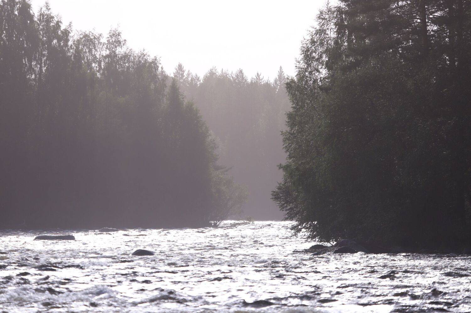 Сегежа. Реки Карелия