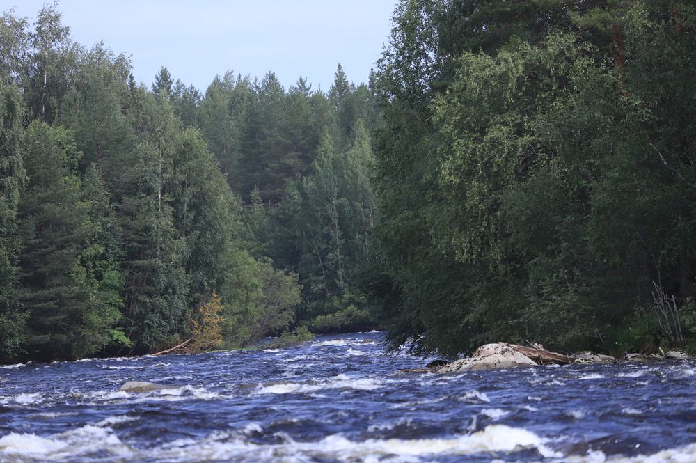 РЕКА Сегежа