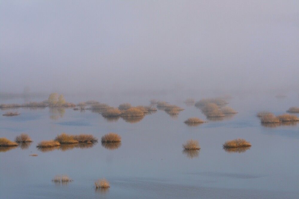 Photograph by Татьяна Шебаршенко