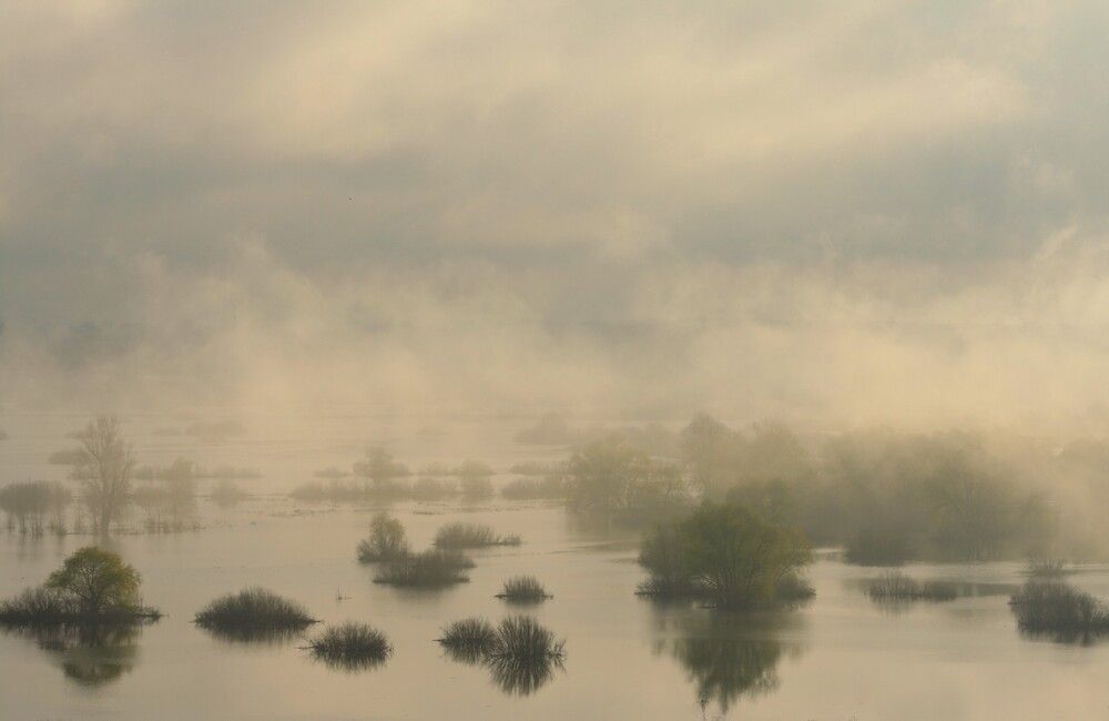 Photograph by Татьяна Шебаршенко