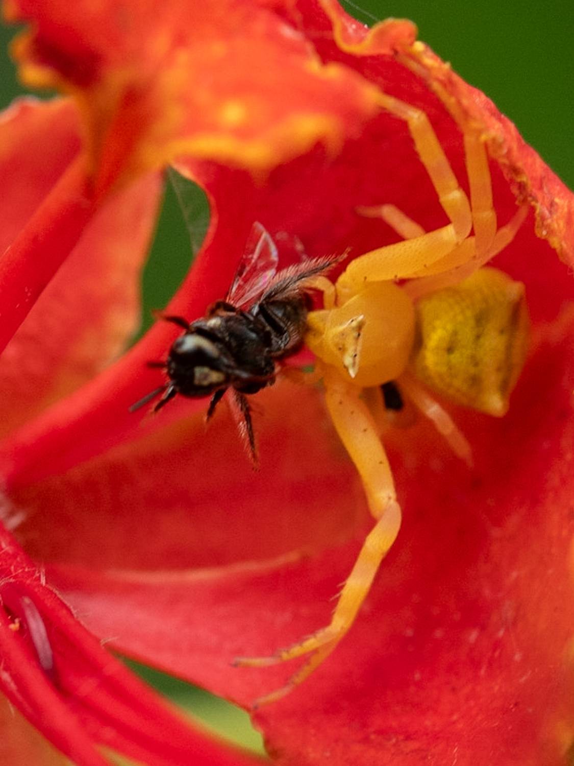 Фотография #13428029