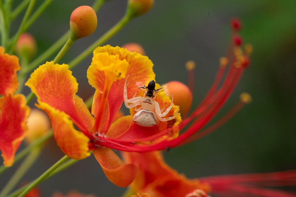 Photograph by Abhishek Pradhan